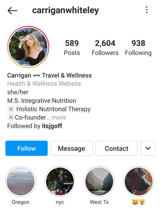 Carrigan Whiteley Instagram 스토리 하이라이트 예시