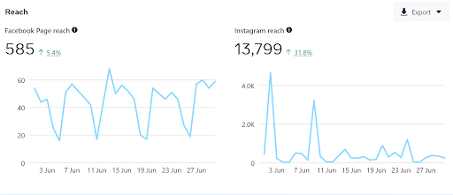 Juni-Facebook-Instagram-Analytics