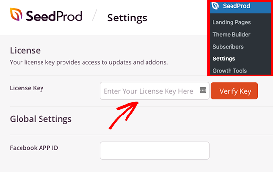 проверить-seedprod-лицензия-ключ - RafflePress Paste the SeedProd license key in WordPress