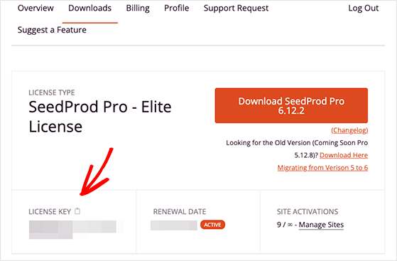 seedprod-лицензия-ключ - RafflePress Copy the SeedProd license key