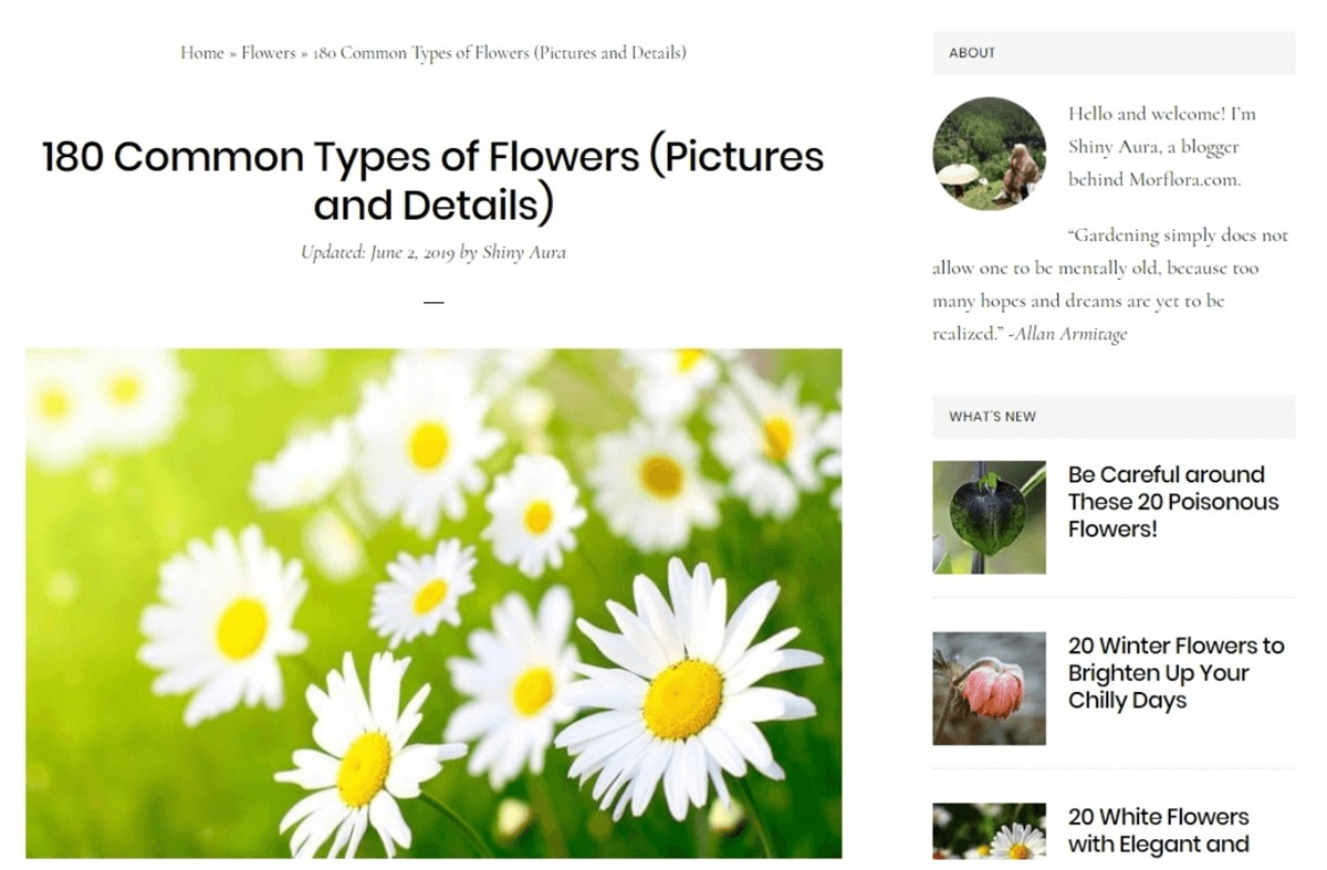 example-resource-blog-page-link-building