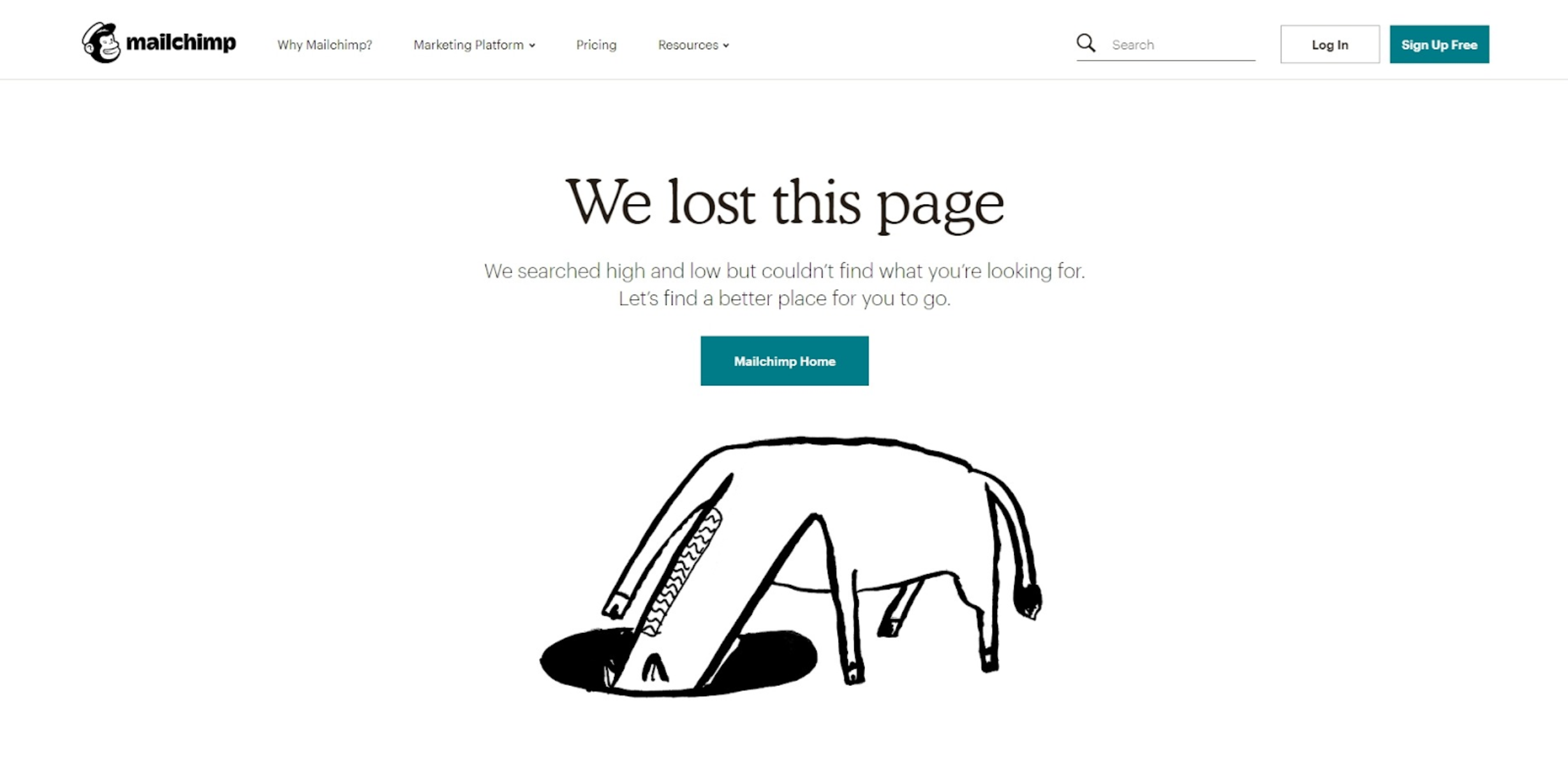 örnek-404-sayfada-mailchimp