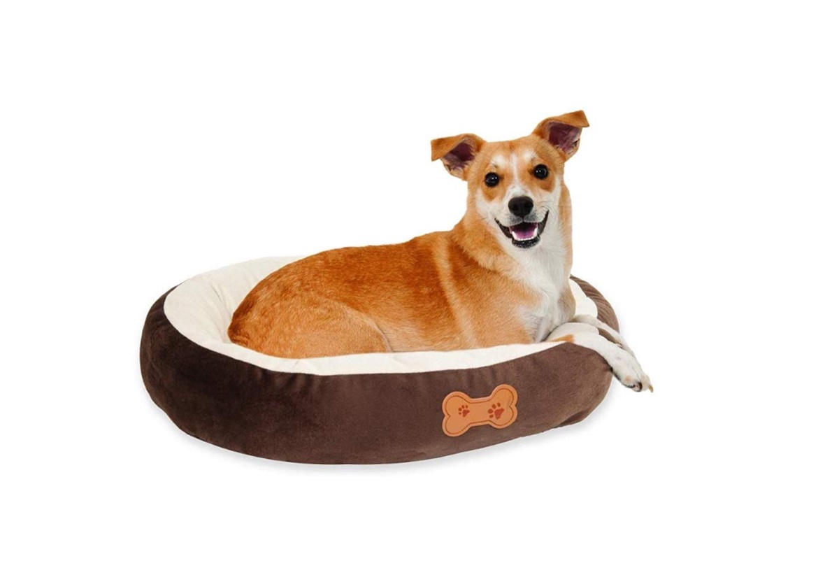 pet beds of print on demand products