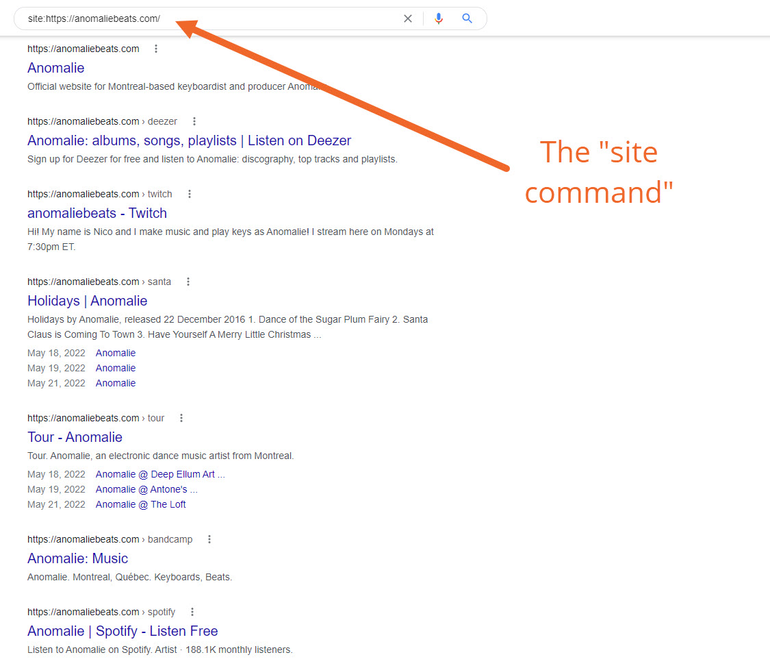 您的網站網站索引示例用於 SEO