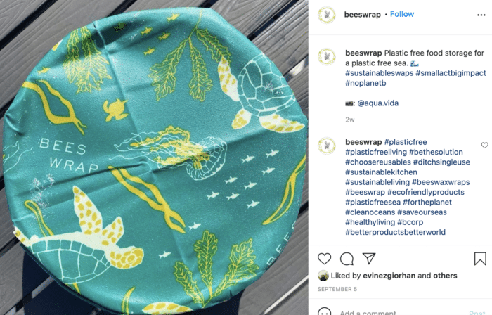 Postarea pe instagram a lui Bee