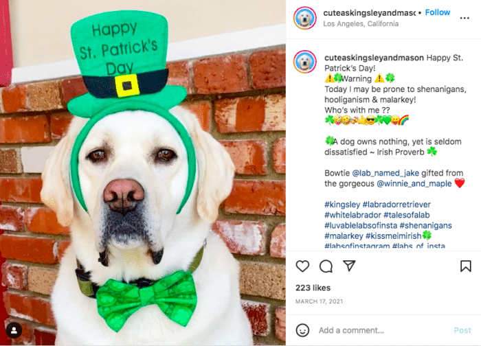Podpis na Instagramie z okazji Dnia Świętego Patryka