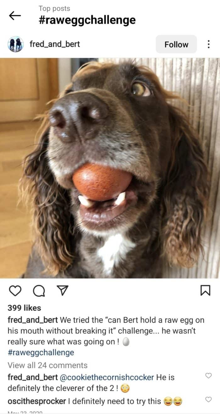 Instagramのスクリーンショット生卵チャレンジ