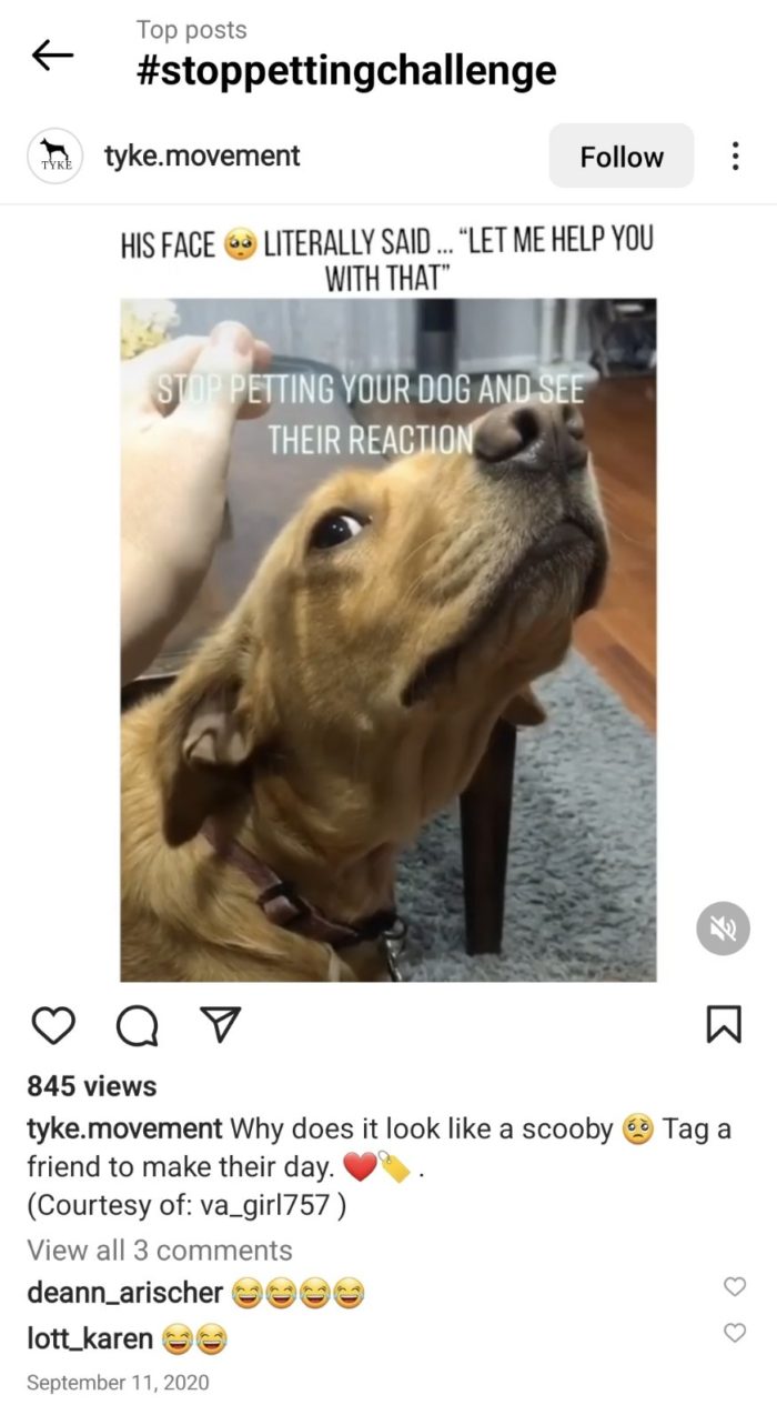 Instagramのスクリーンショットはペッティングチャレンジを停止します