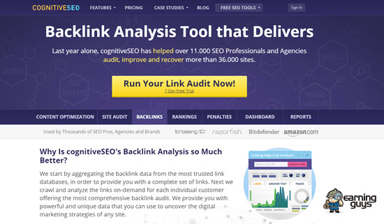 Analiza cognitiveSEO Backlink