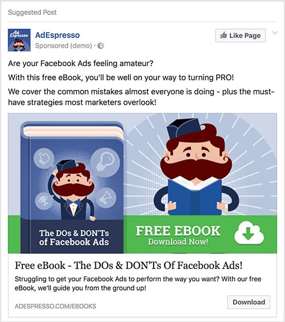 facebook-ads-ebook-promotion - RafflePress facebook ads ebook promotion