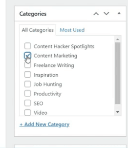 หมวดหมู่ใน wordpress