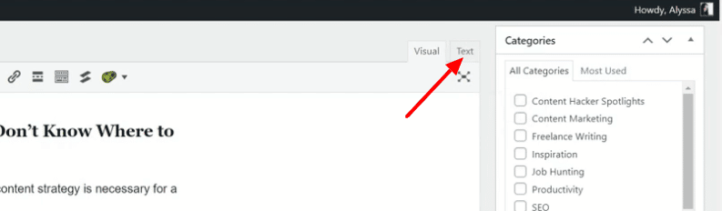 โหมดข้อความใน wordpress