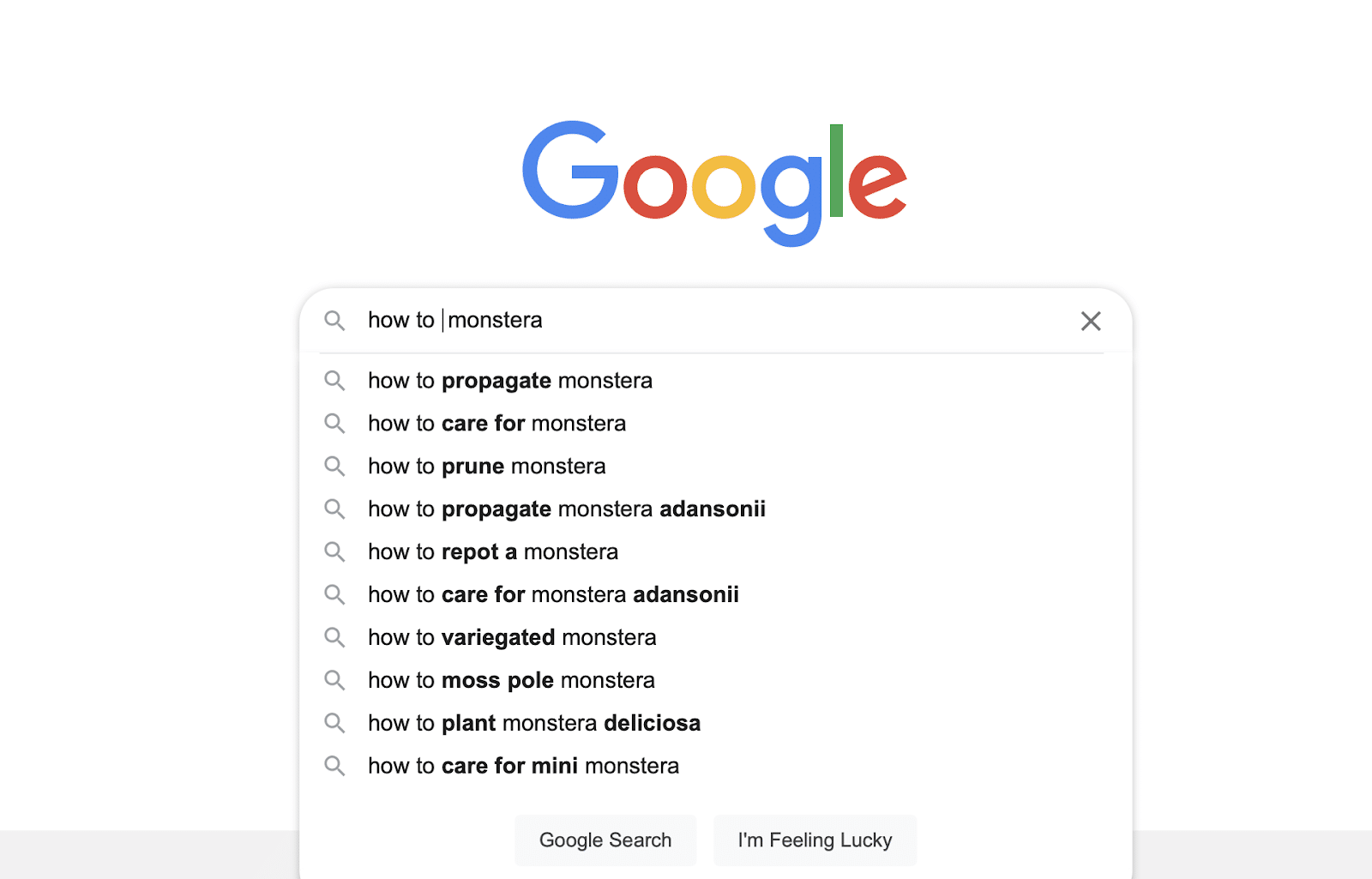 Inhalt für Website-Google-Suche