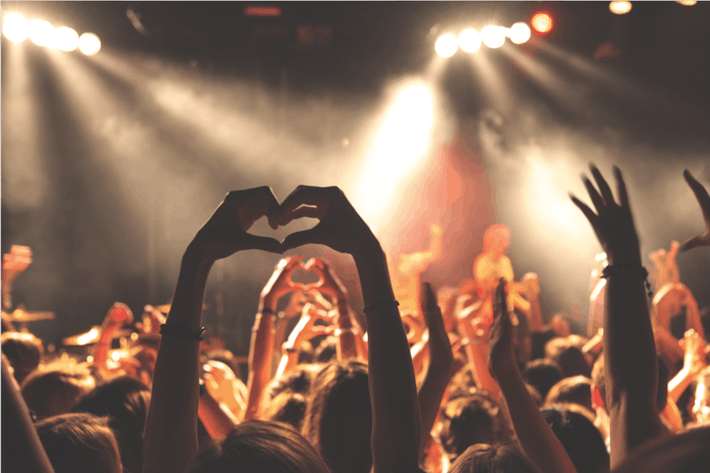 uma multidão de pessoas em um concerto