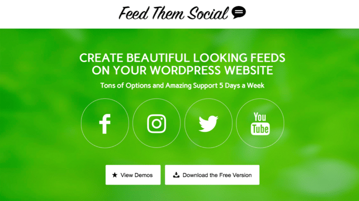 Feed loro Schermata del sito web sociale