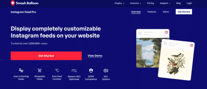 Pagina iniziale del sito Web di feed di foto sociali di Smash Balloon