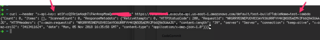 Insira a chave e o nome do banco de dados no terminal para concluir a configuração de compilações sem servidor no AWS Lambda.