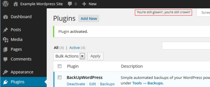 WordPress 及其 HelloDolly 插件