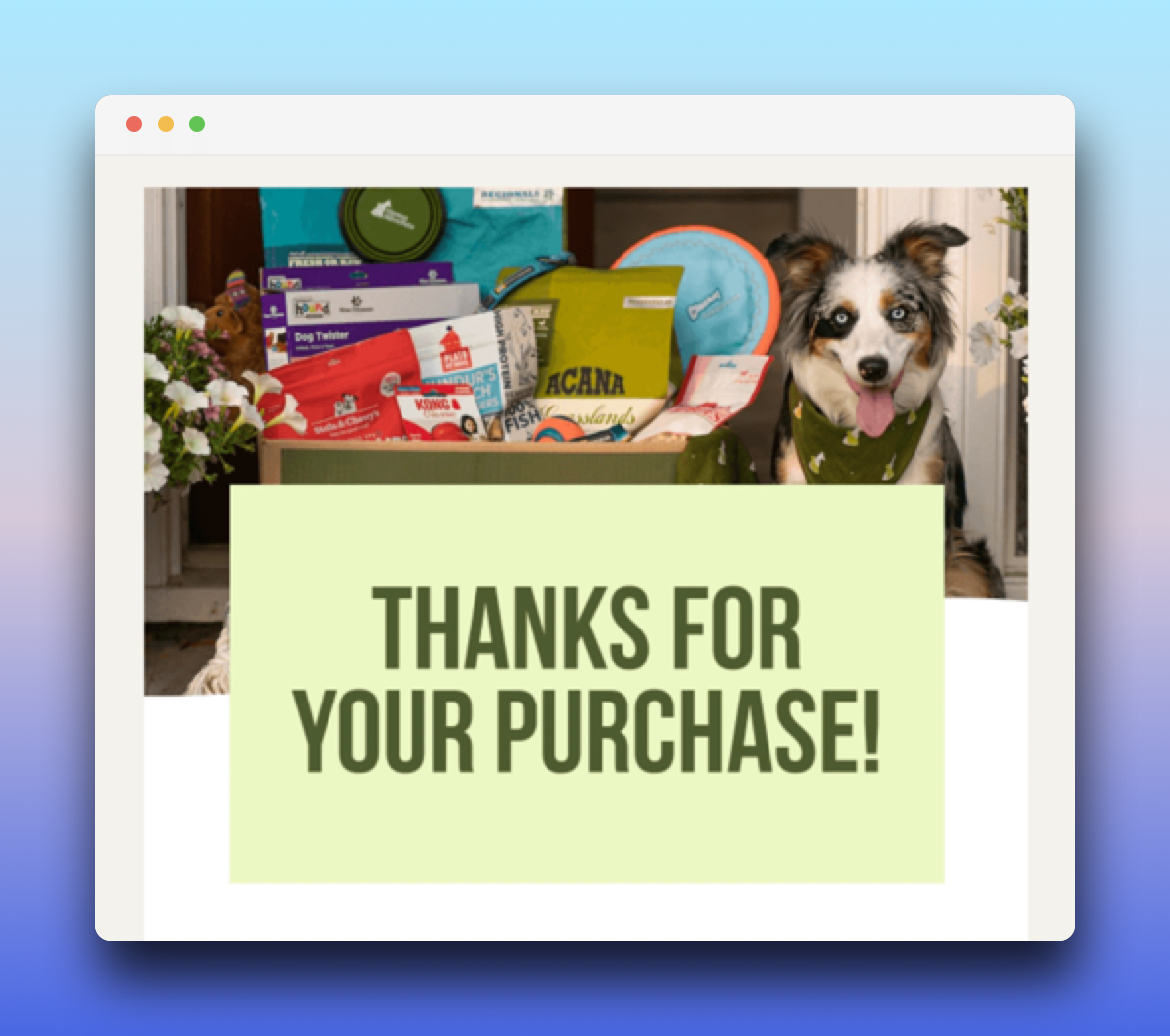 thank you page example with the text "thank you for your purchase!" and a blue eyed dog next to pet snacks  and goodies basket