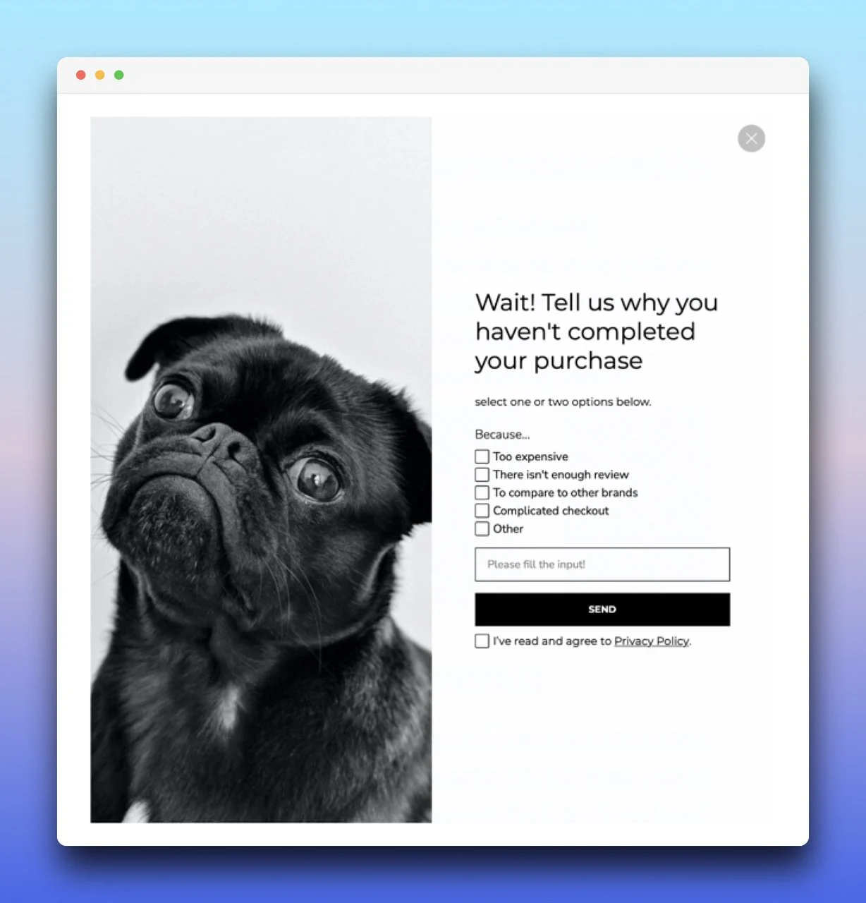 an exit intent popup example featuring a black pug photo on the left and a text on the right asking why the person hasn't completed their purchase with some options and a text field below