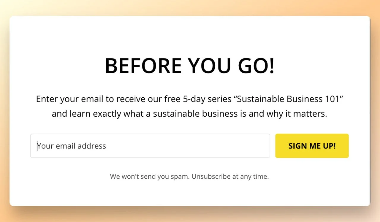 a screenshot of an exit-intent popup offering a discount with the big title that says "Before You Go"