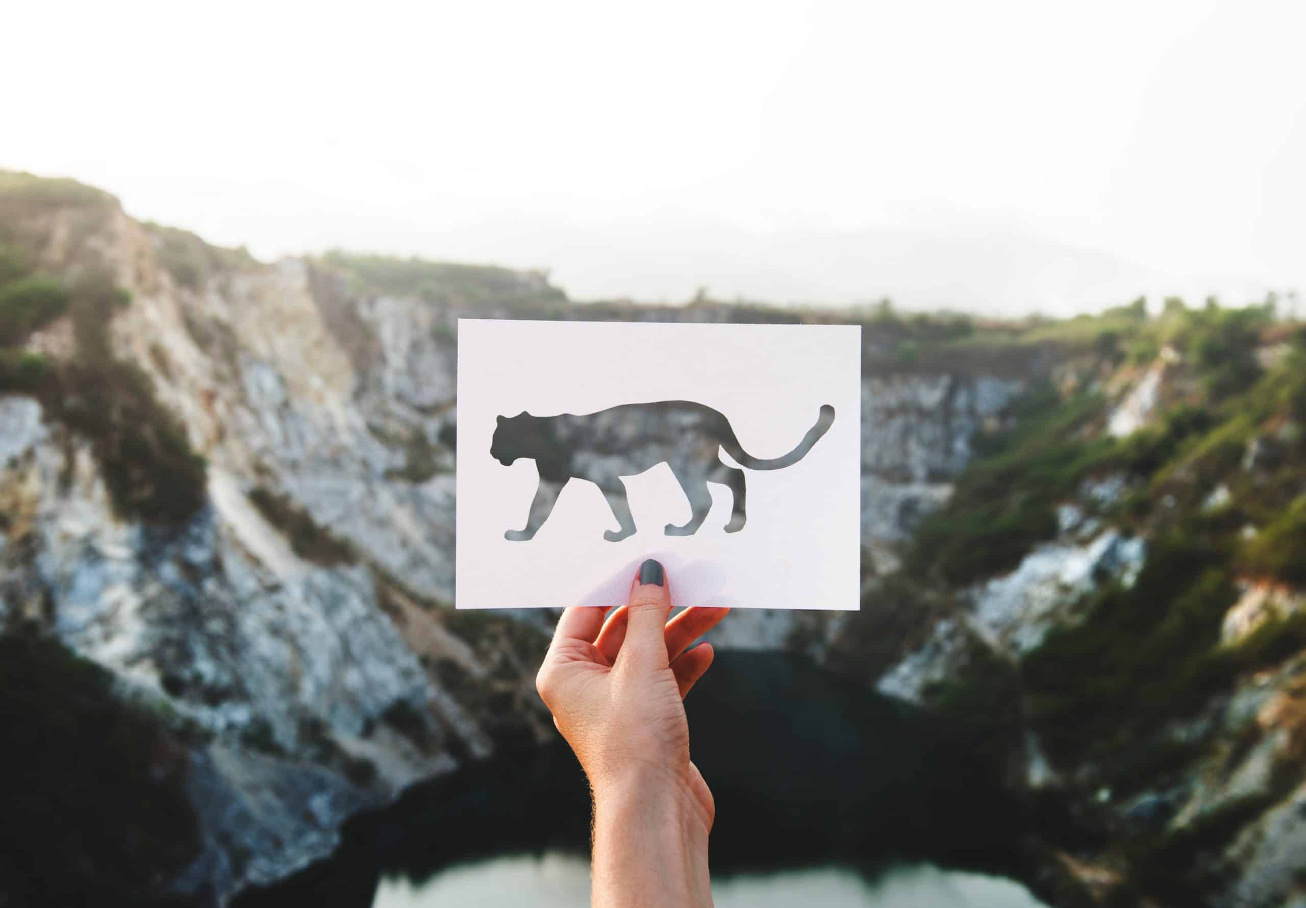 山の風景を背景にした一枚の紙の中に刻まれたジャガー