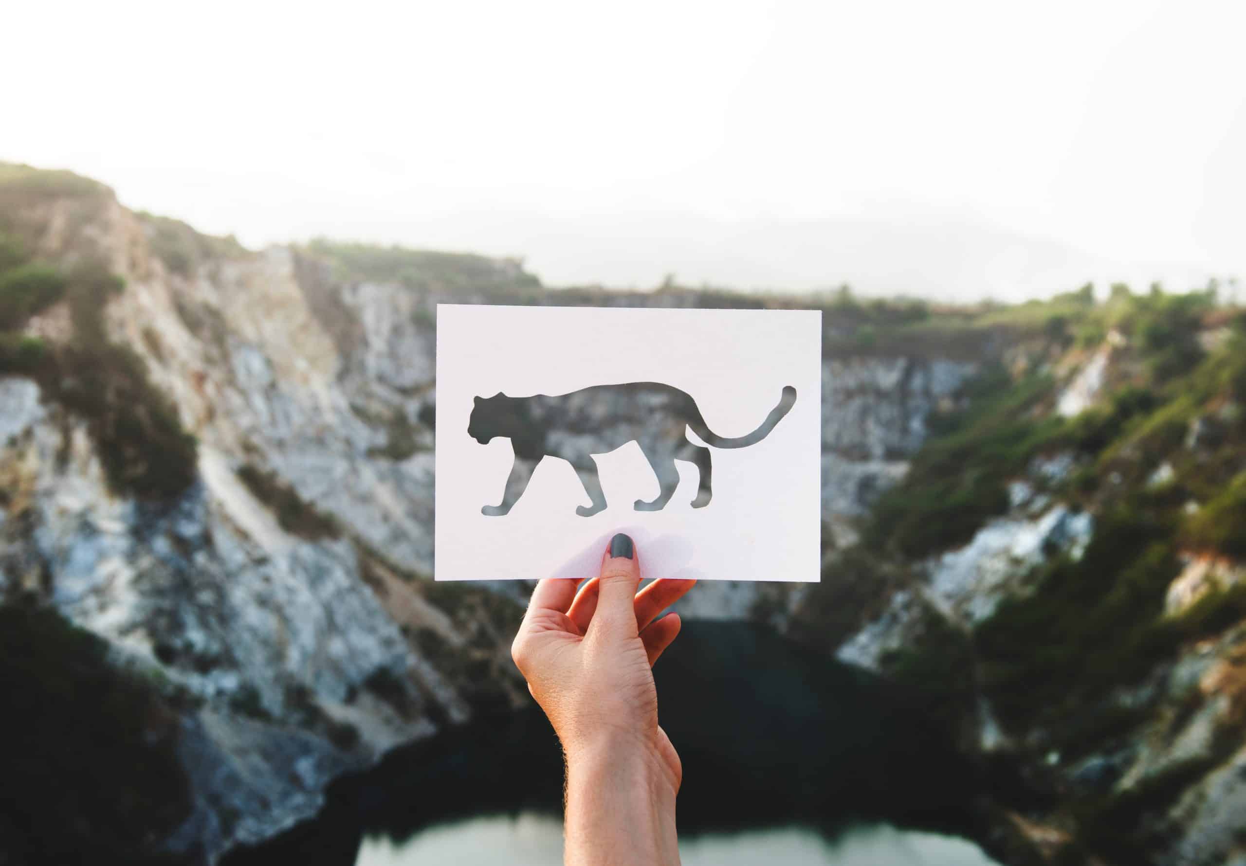 Jaguar esculpido dentro de um pedaço de papel com paisagem montanhosa como pano de fundo