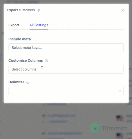 Exportando colunas personalizadas para planilha CSV usando o Metorik