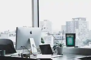 tax software