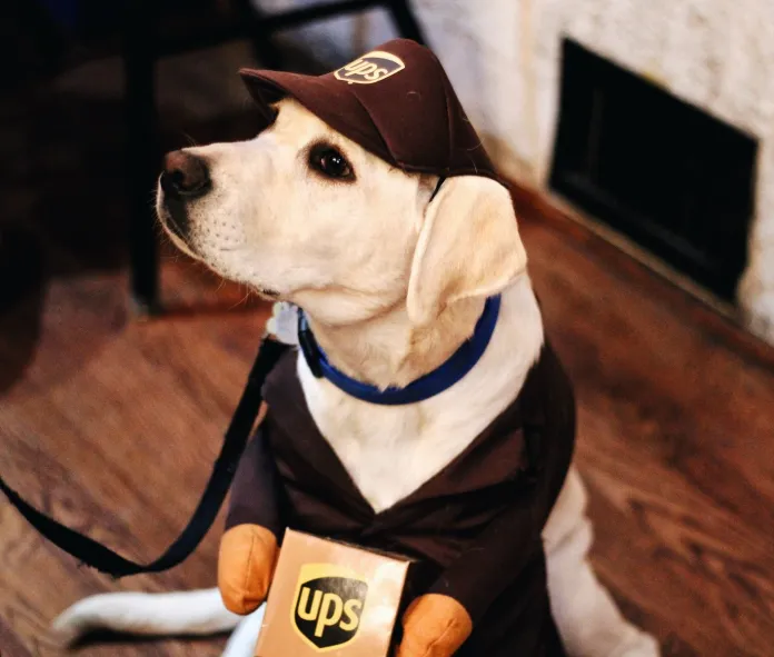 Ups surepost vs fedex smartpost - perbandingan pamungkas untuk 2022 2 dog sitting on parquet flooring