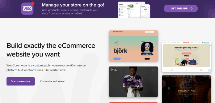 10 plugin wordpress terbaik untuk toko e-niaga pada tahun 2022 1 wordpress plugins