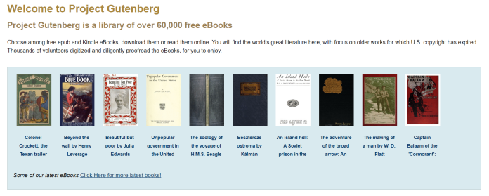 15 大免费在线图书资源 1 free book