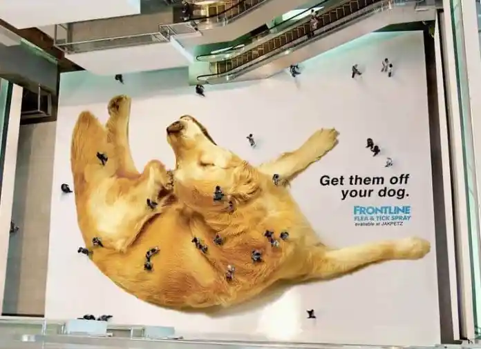 什麼是游擊營銷?真正奏效的戰術3 guerrilla marketing