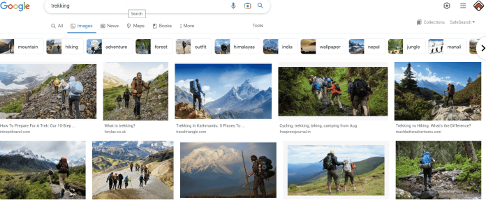 10 mesin pencari gambar terbaik pada tahun 2022 1 image search engines