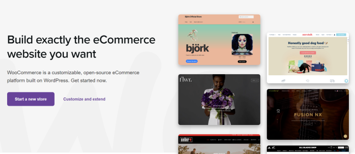 Bigcommerce レビュー: 2022 年に e コマースに使用する理由 5 bigcommerce