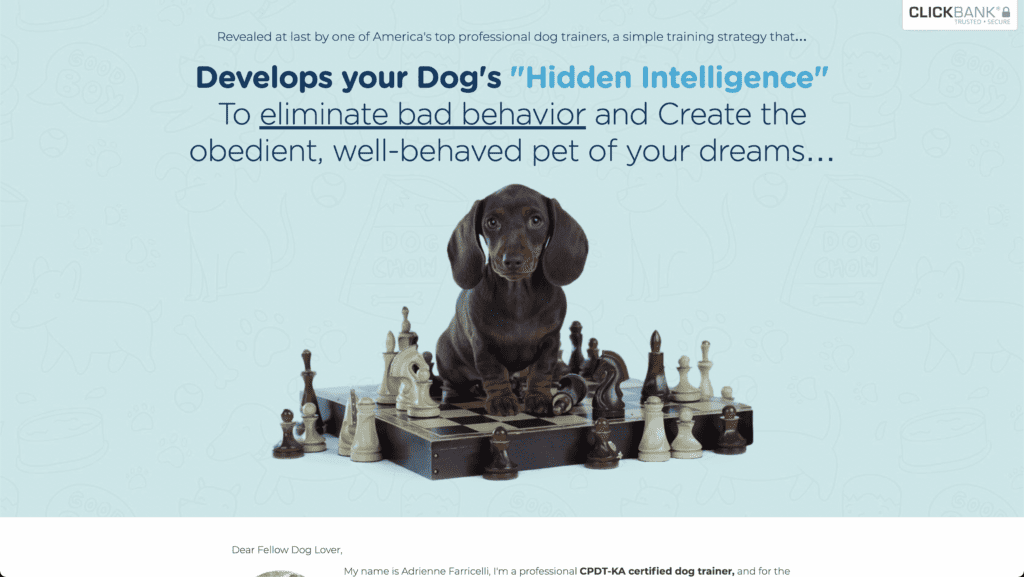 allenamento del cervello per cani