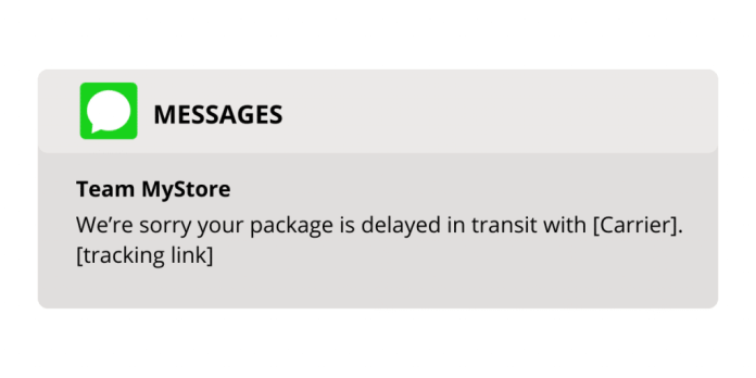 配送遅延への対処: 原因と改善方法 2 shipping delays