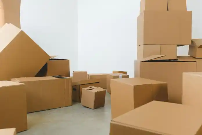 Co to jest przyspieszona wysyłka? Dlaczego sklepy internetowe powinny to oferować 3 Shipping Cost