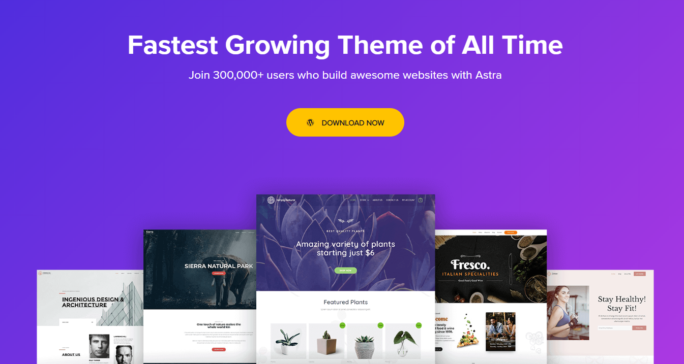 Temas WordPress Astra para Blogs