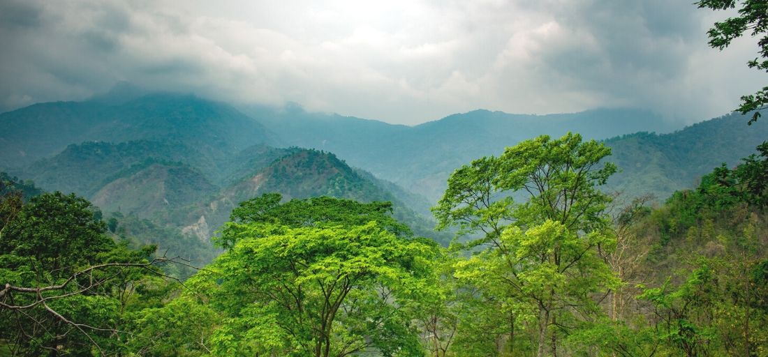 Darjeeling, Bengala Occidentale - Regina delle Colline