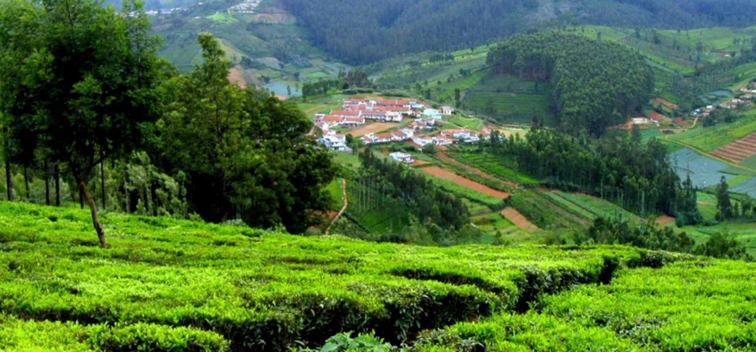 Ooty, Tamil Nadu - Regina dei Nilgiri