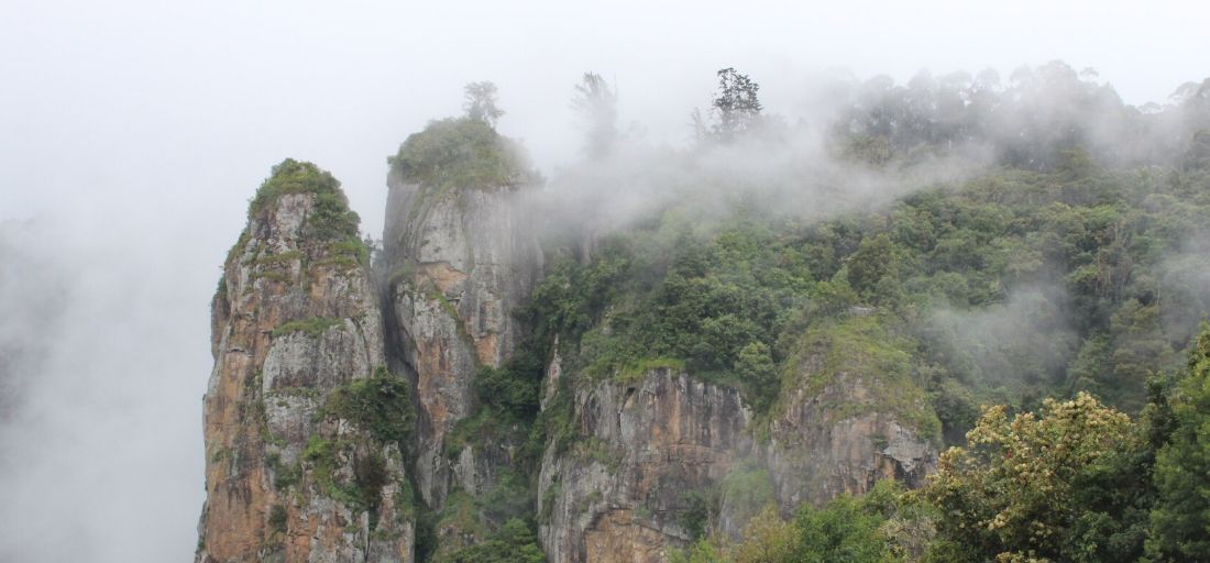 Kodaikanal, Tamil Nadu – La principessa delle stazioni di collina