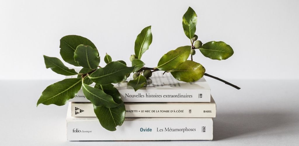 Autopubblica un libro su Amazon - Idee di business online