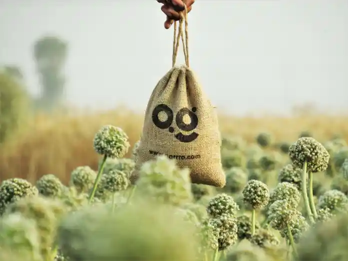 Migliori pratiche per la spedizione e-commerce per una migliore esperienza del cliente 3 Eco-friendly packaging