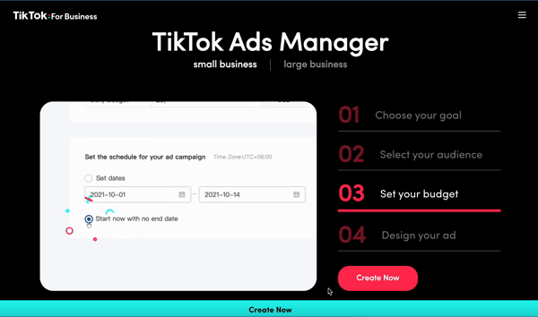 Tik Tok 广告格局及其重要的原因是针对您的营销策略的特定平台