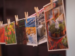 アート-ハンギング-写真-写真-265946