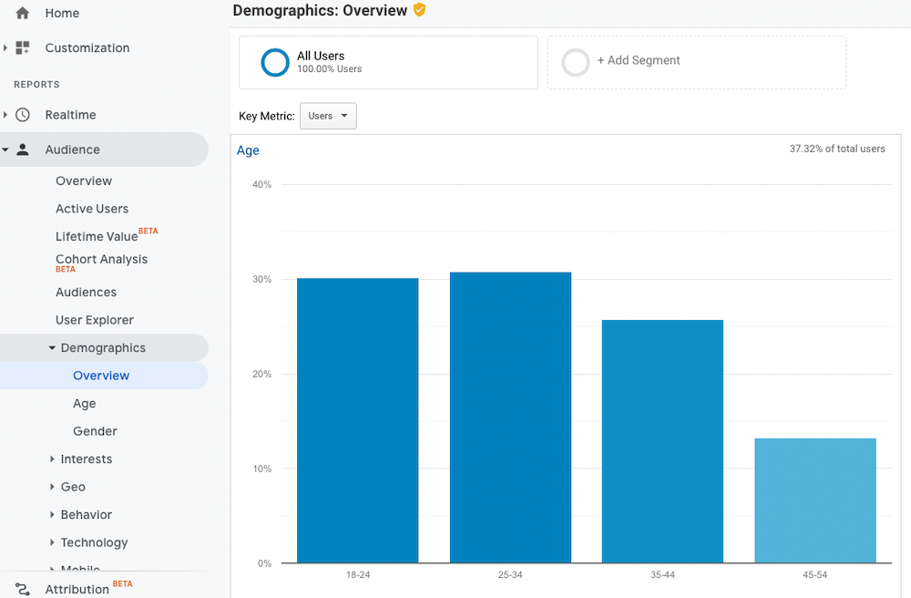 Google Analytics'teki Demografiye Genel Bakış sekmesi