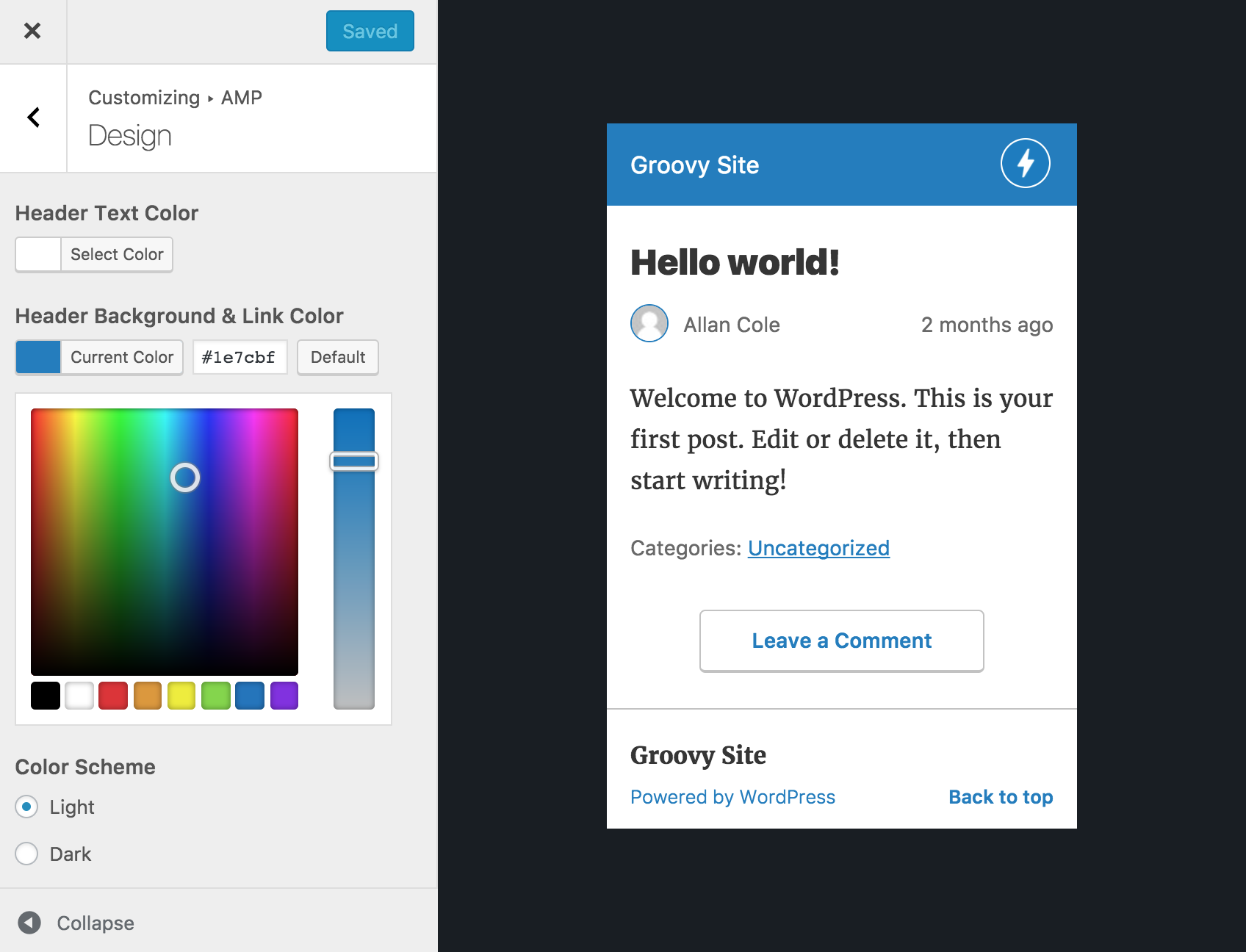 AMP-for-WordPress-截图 AMP-for-WordPress-Screenshot