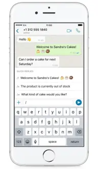 Qu'est-ce que l'entreprise WhatsApp ? Avantages d'utiliser WhatsApp pour les entreprises 2 whatsapp business