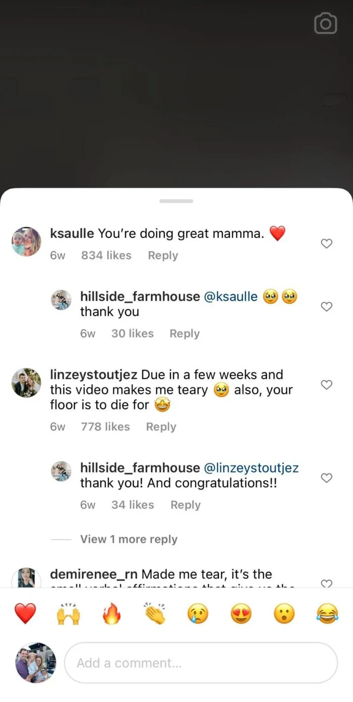 bagian komentar gulungan instagram dari hillside_farmhouse